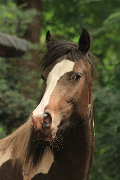 Lucky Lana Lucky Lana